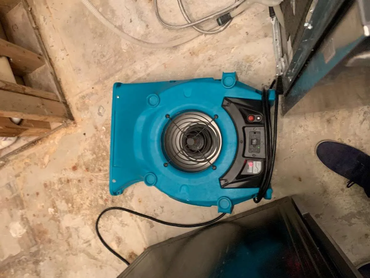 Air mover drying equipment for Mold Remediation & Removal in Edgewood